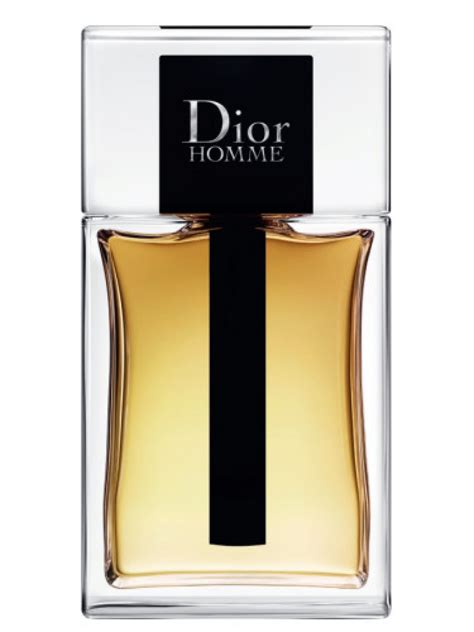 dior homme eau de toilette debenhams|Dior Homme parfum 2020.